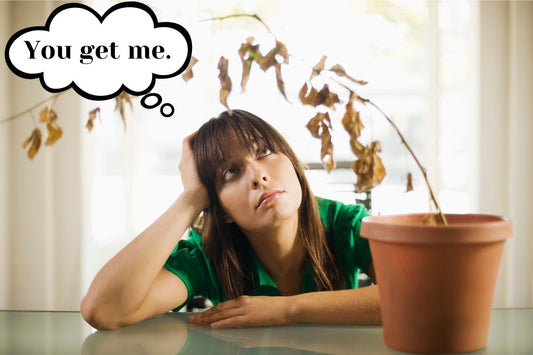 Why Every Office Plant Is a Metaphor for My Career